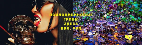 кокс Дмитровск