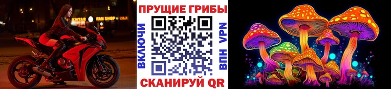 даркнет телеграм  Чулым  Псилоцибиновые грибы Magic Shrooms  kraken зеркало 